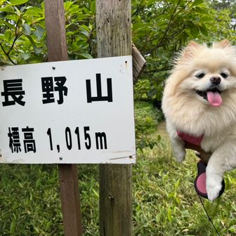 長野山に来たわよ