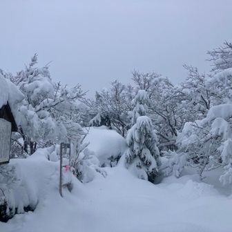 城山に到着〜🏔️