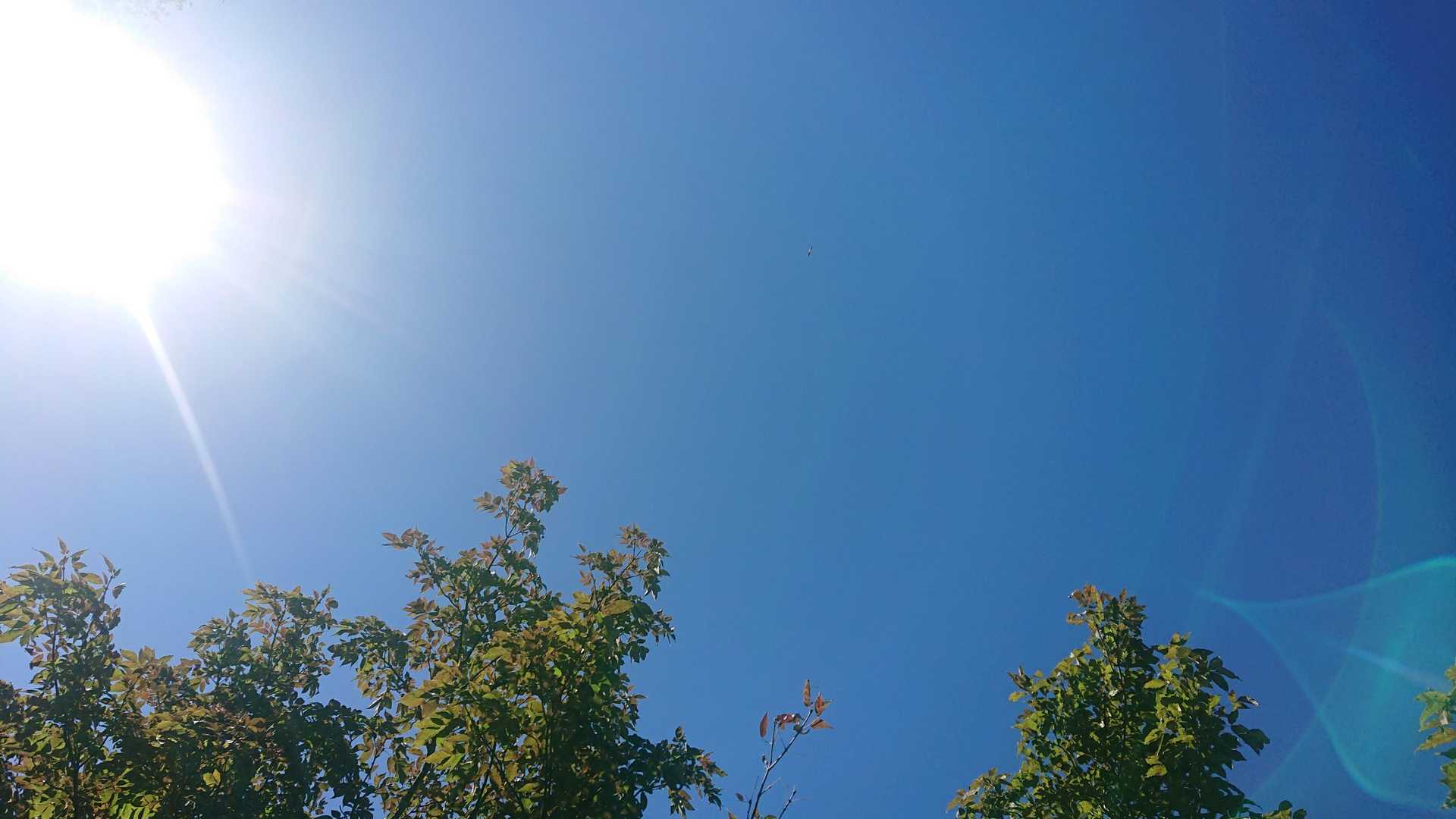 平庭峠-平庭岳 往復コースの写真