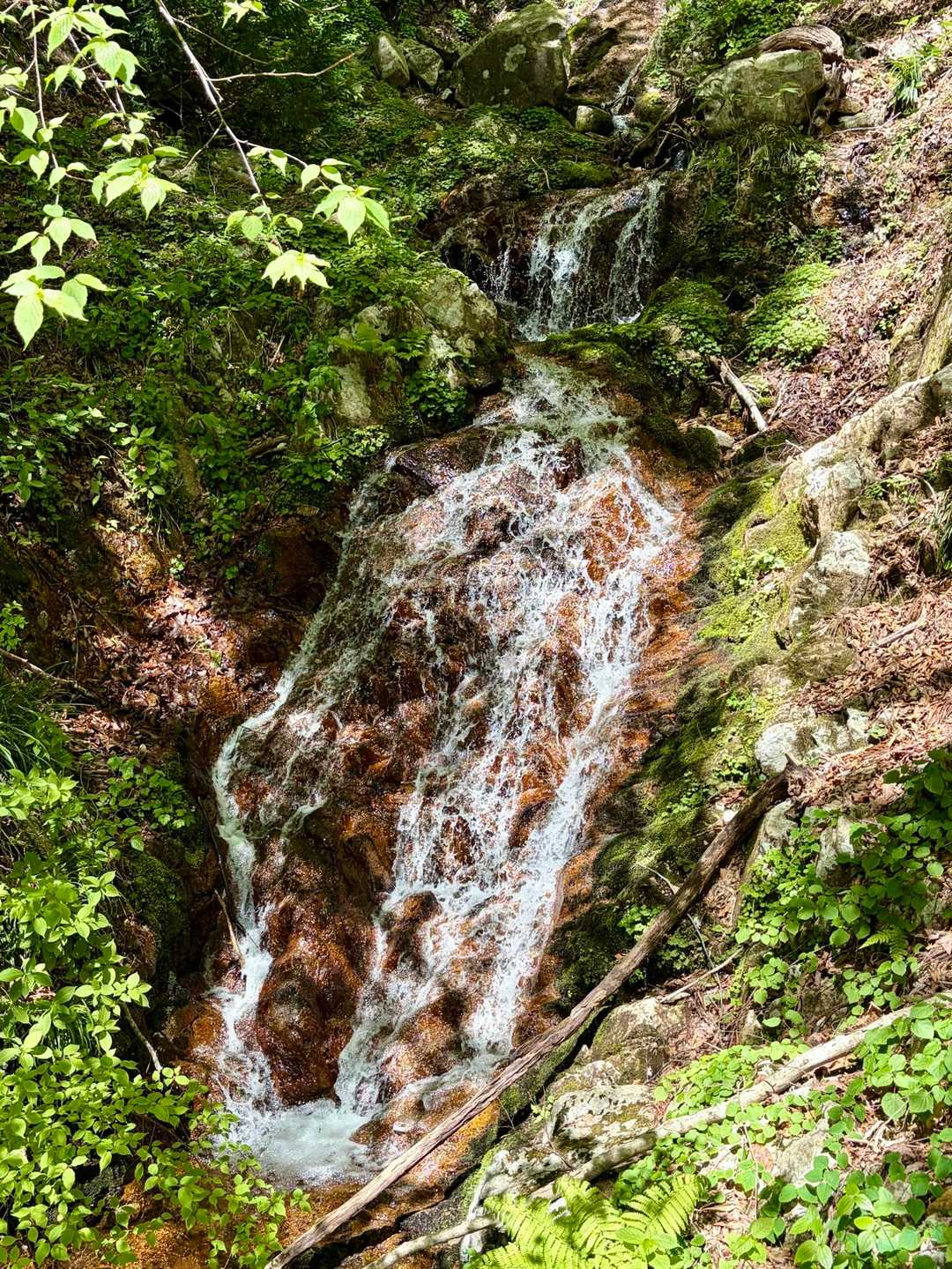 獅子ヶ谷登山口-十方山-奥三ツ倉-前三ツ倉-丸子頭 周回コースの写真