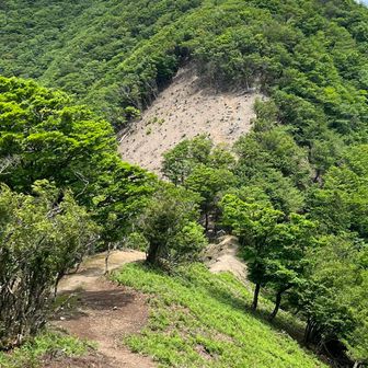 もう少しで鞍掛峠🤏