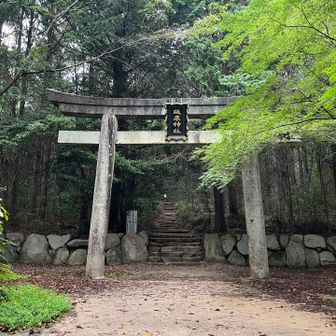 大変ご無沙汰です🙇