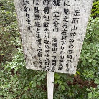 へーっ
高崎山見えるんや