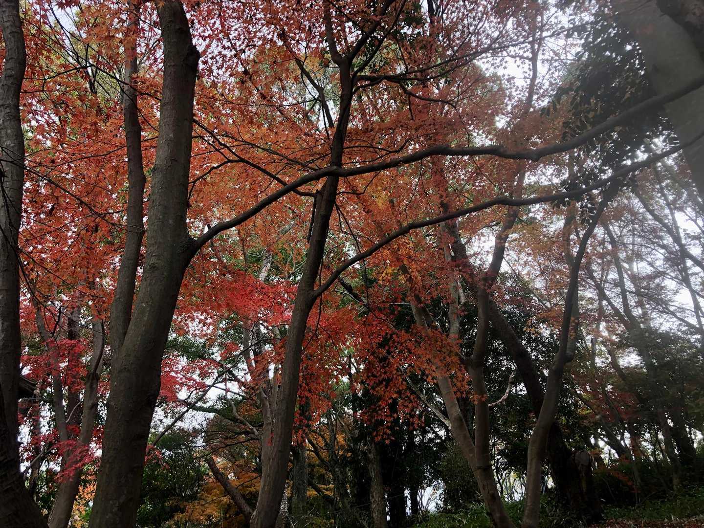 今年もどうもありがとう😊
