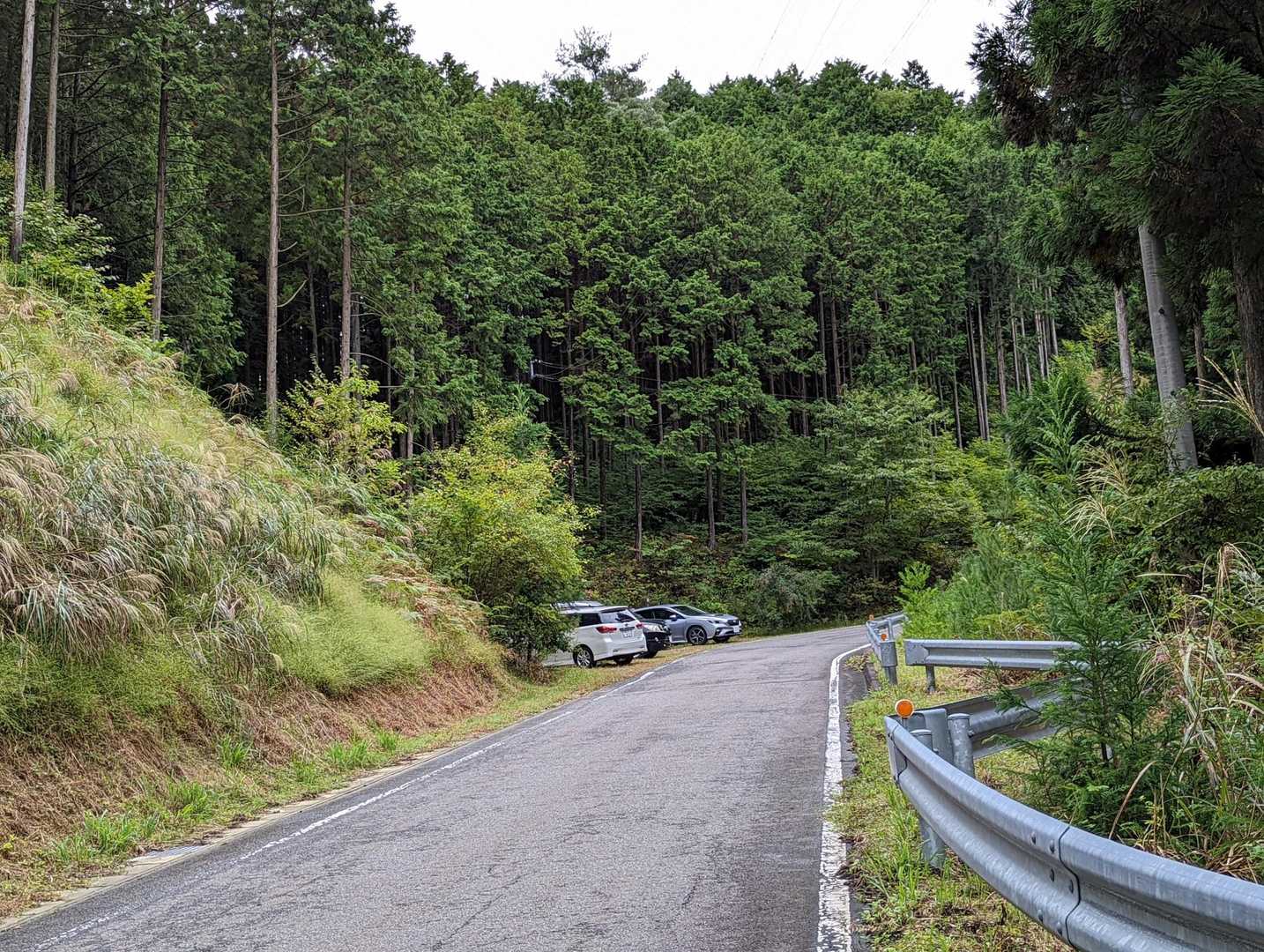 山道を歩いて､一旦林道に出ました。