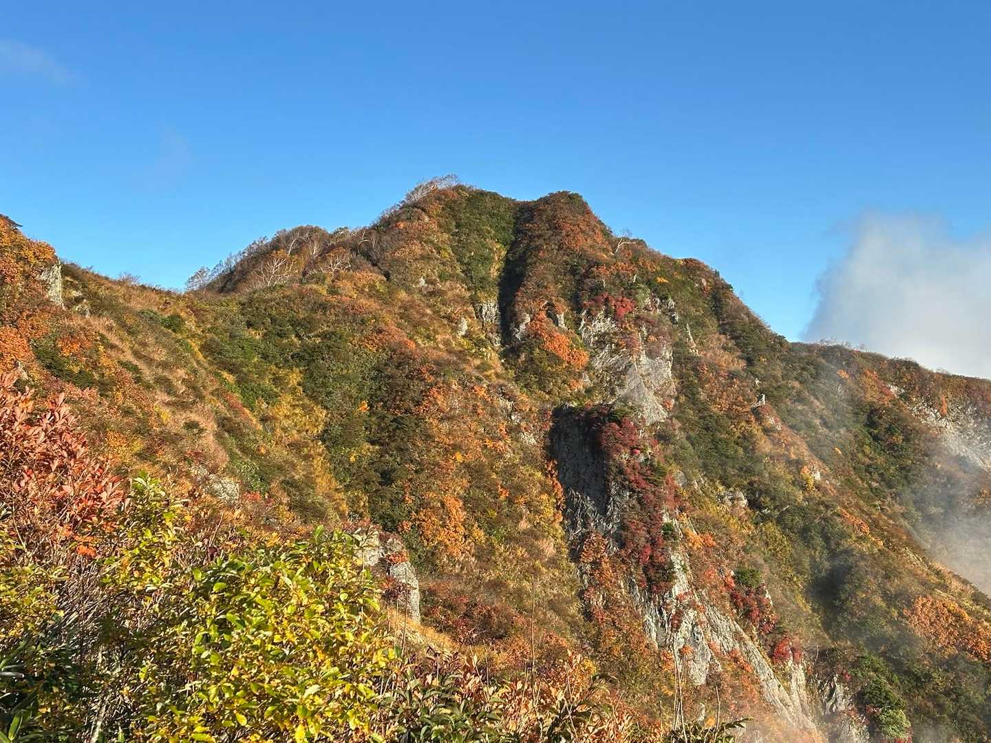 写真じゃなかなか伝わらない