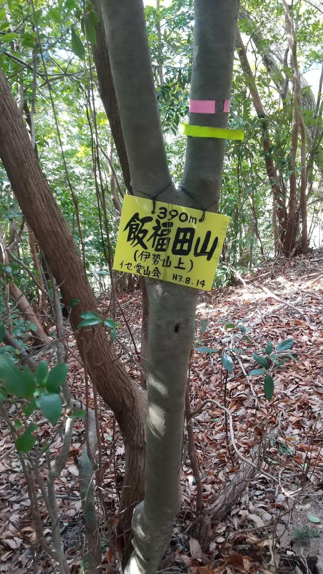 飯福田山(伊勢山上)山頂🙌
見逃すかも！