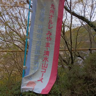 オルレコースになっていて整備され歩き易い!