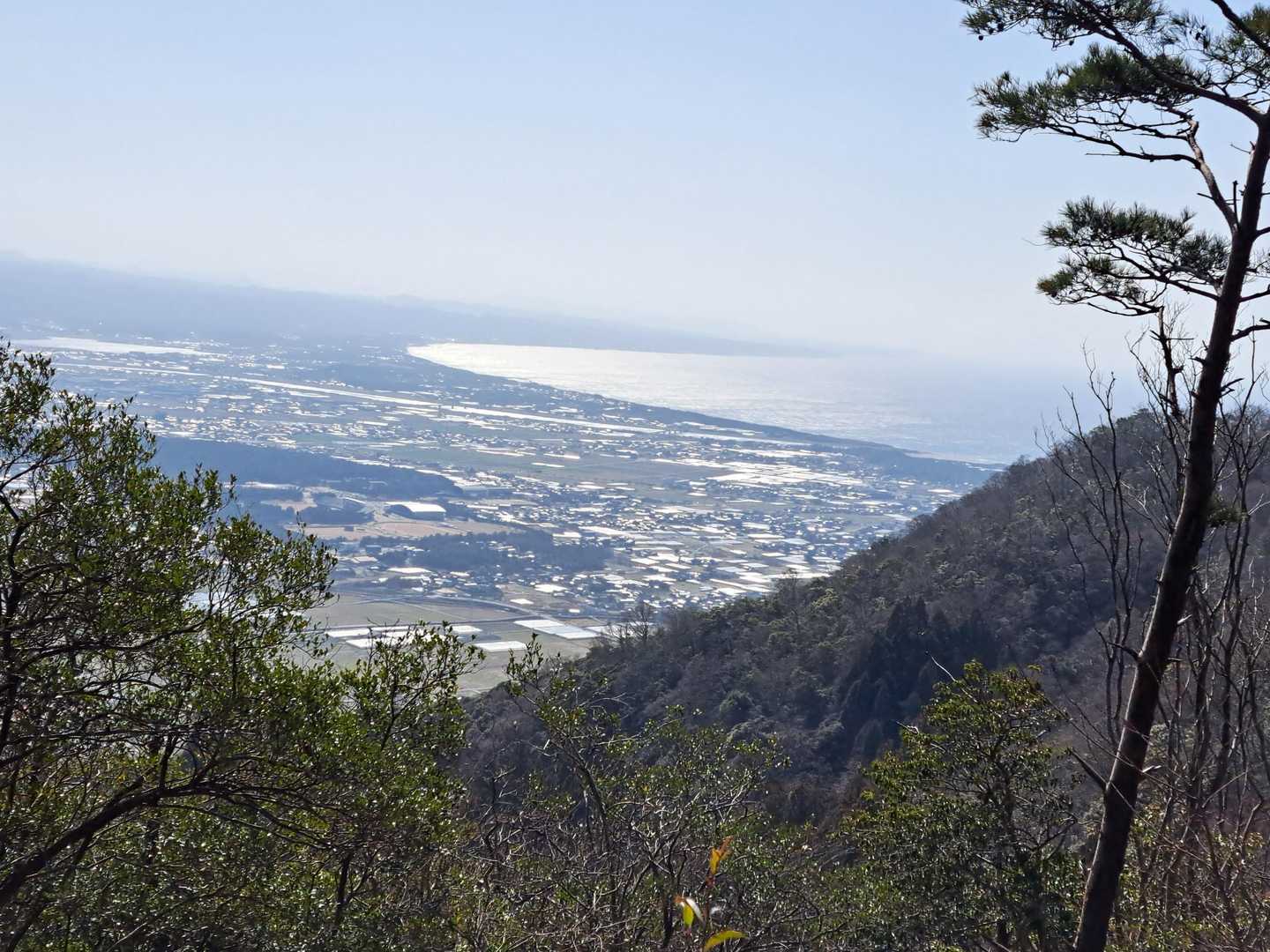 旅伏峰-伊努谷峠-鼻高山-矢尾峠-大黒山-遥堪峠-万ヶ丸山 縦走コースの写真