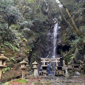 僧侶様が、祈りを捧げていた。
南無阿弥陀仏🙏