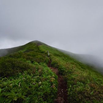 横岳への道🚶