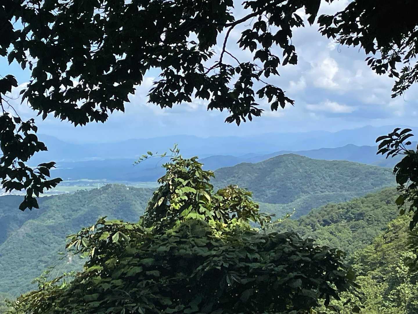 右に鳥坂山