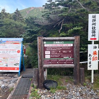 本格的な登山道へ