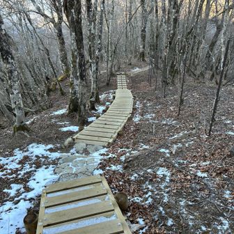右にフェンスが…神奈川の水源地保全だかで整備してるみたい。回らない脚には木道ありがたい
