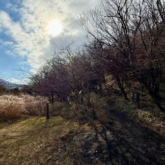 合流🙌これから法華院山荘へと向かいます♨️