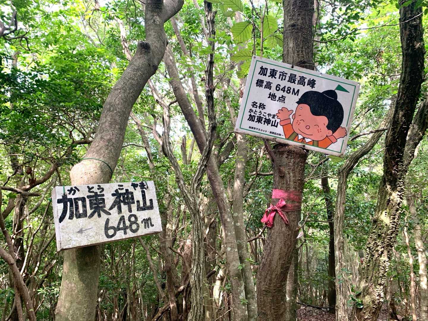 加東神山、眺望は有りません😅