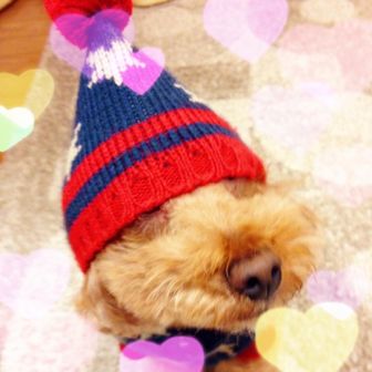 まあこ