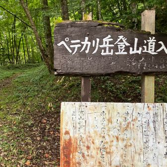 最初はなだらかで歩きやすい