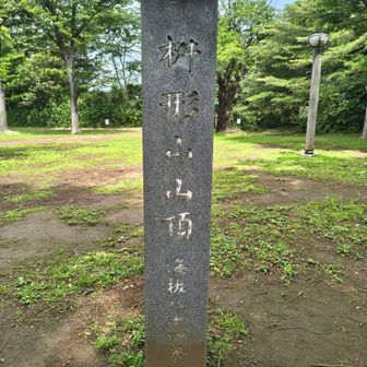 枡形山