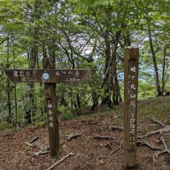 畦ヶ丸🙌
たいして眺望ないのでサクッと進みました