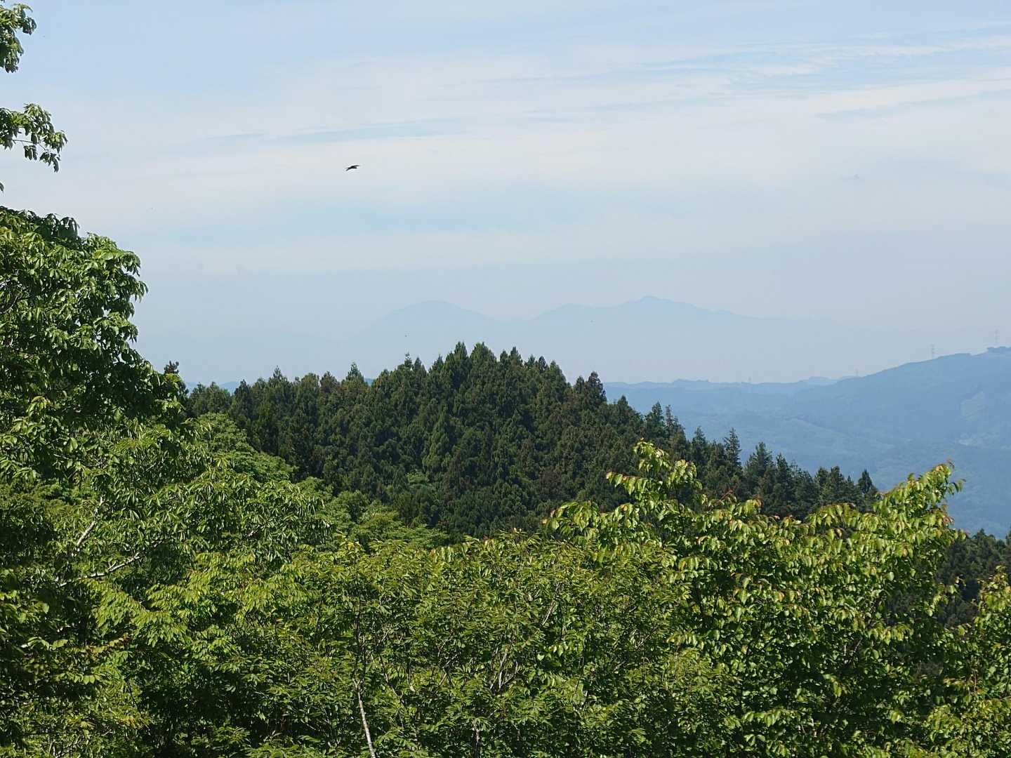 遠くに日光男体山が霞んで見えます
