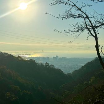 道中、振り返ると輝く大阪湾✨
街は西宮あたりでしょうか？
