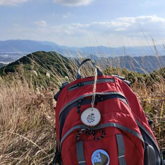 実は、戴いた木札
を途中で落としてましたが２個戴いたのでもう1個の分を😂