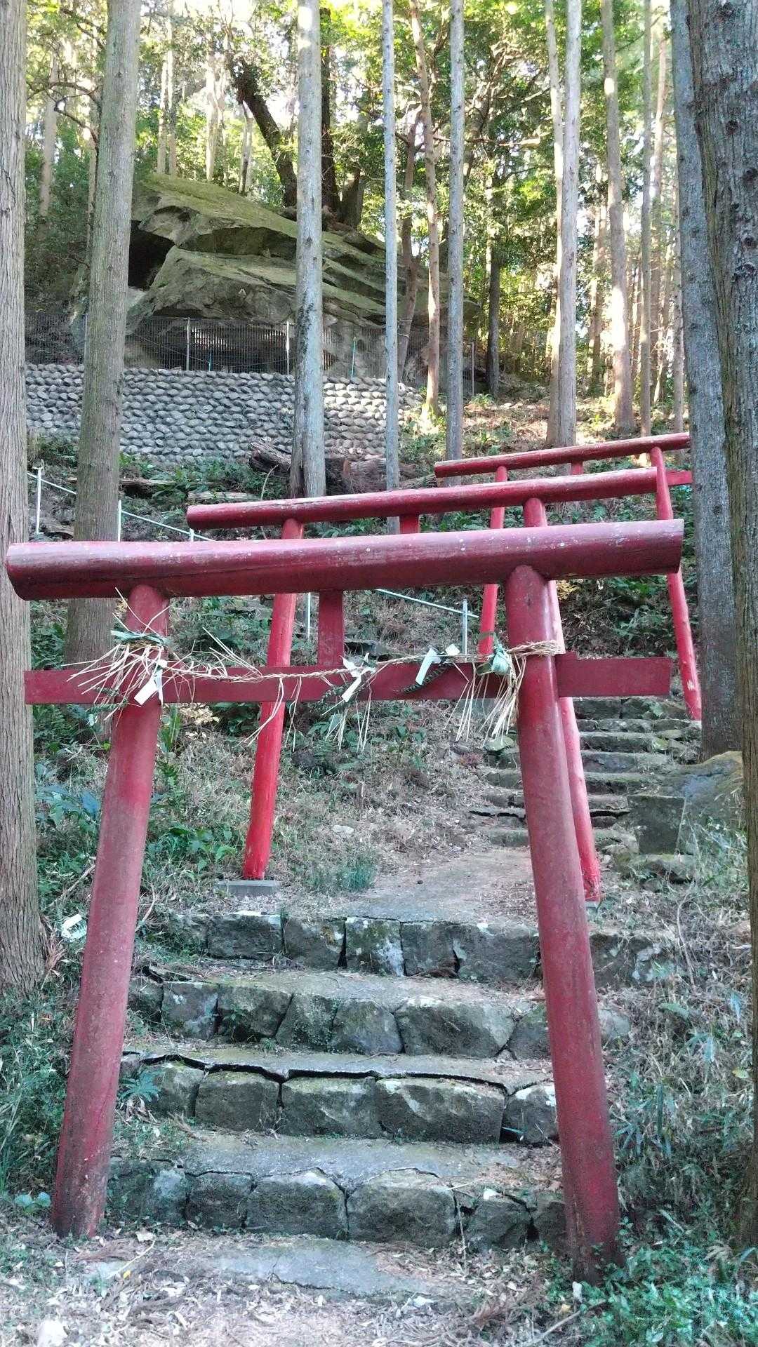 八幡山 周回コースの写真
