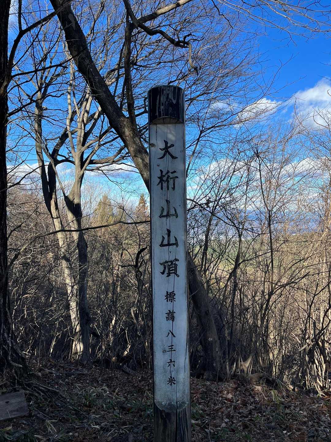 大桁山 835m  (๑˃̵ᴗ˂̵)و
山頂のベンチで休憩後、下山しました
