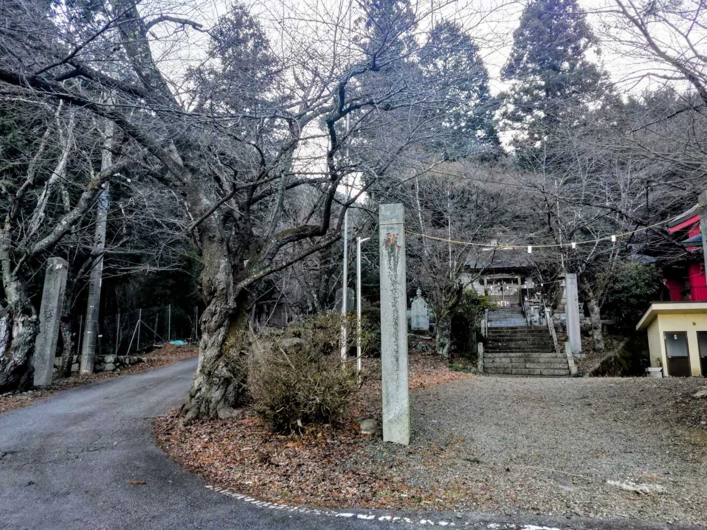 ずっと登り