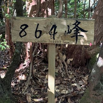 864峰到着🛬

どんな所か気になっていた〜！
春はシャクナゲが咲いて、7月はヒメシャラが咲くんだろうなー❣️と空想😶‍🌫️