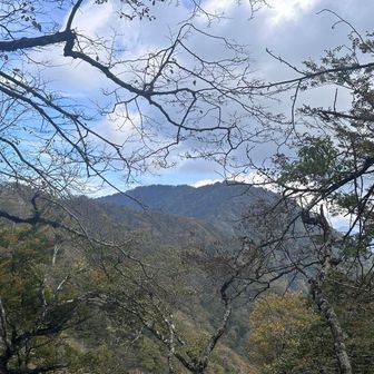 加入道山を下りたあたりから大室山を望む