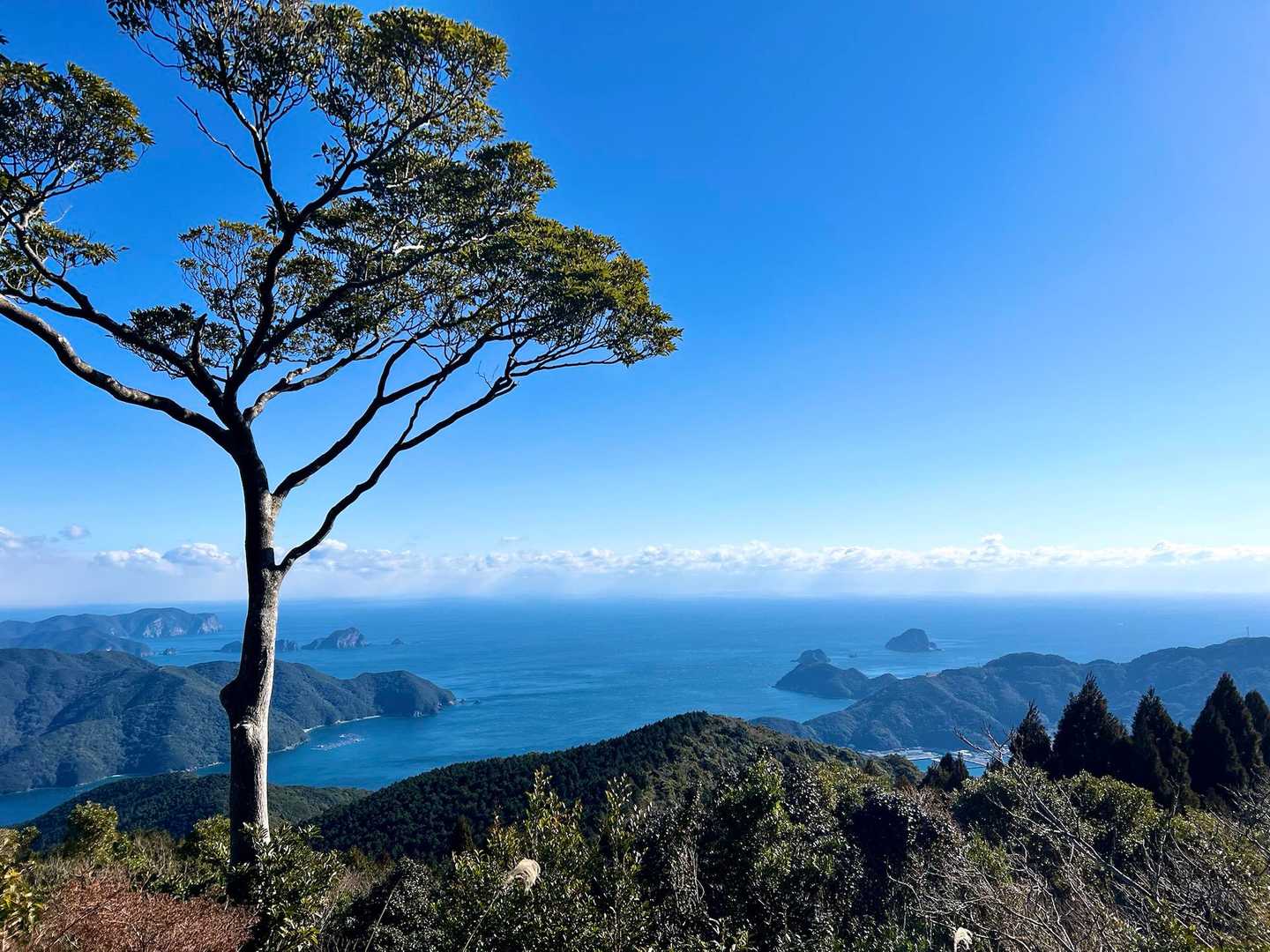 色利登山口-元越山 往復コースの写真