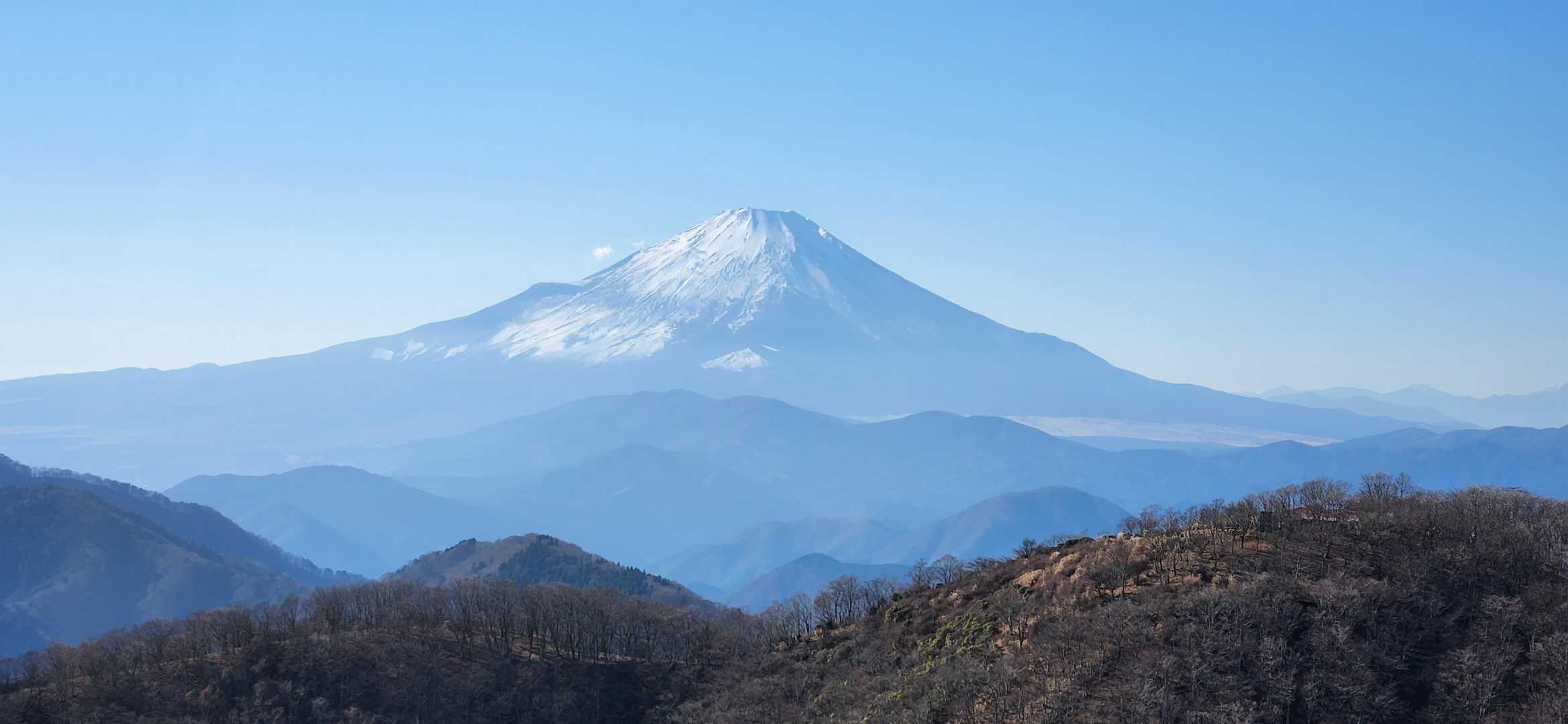 後沢乗越-鍋割山-小丸 周回コースの写真