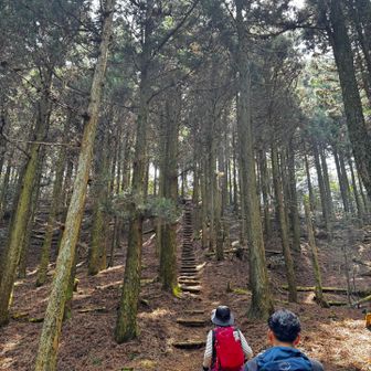 江川岳山頂への階段　長ーい😱