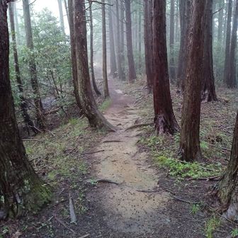 まずは城山へ、気持ちの良いハイキング道です。