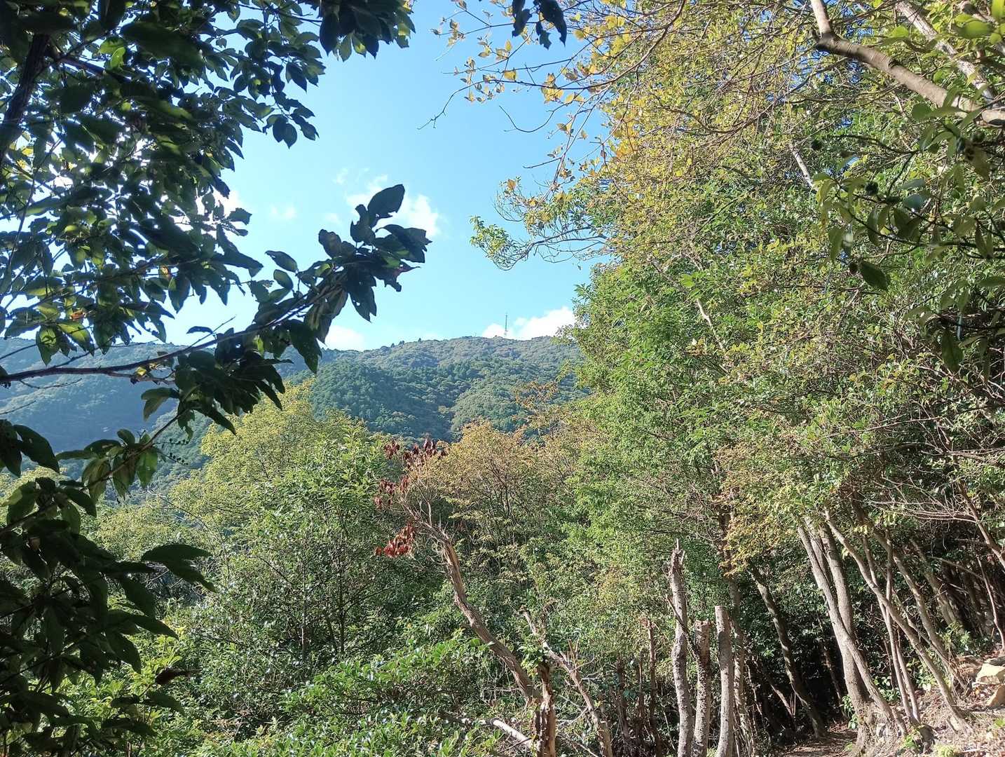 山頂の電波塔が見えます。