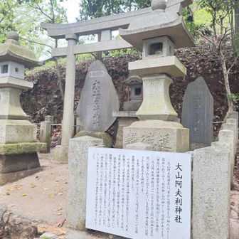 大山阿夫利神社⛩️ここに‼️