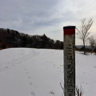 🐴午年
今年もたくさんいろんな山へ行けると良いなぁ☺️