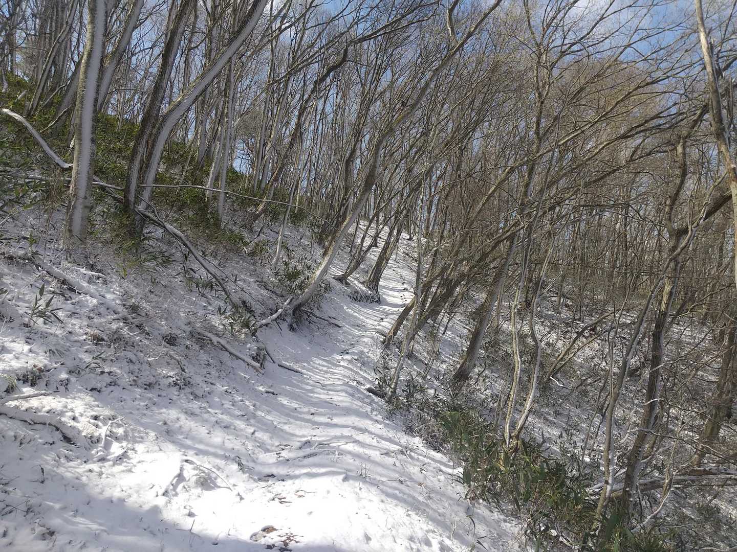 花塚山-北峰 周回コースの写真