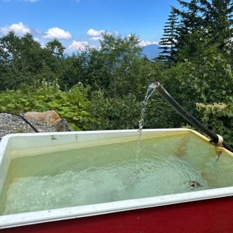 冷泉小屋の沢水が冷たく生き返りました！