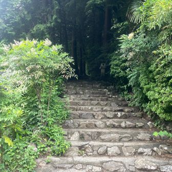 登山道に入っていく・・・
奥が暗い😨