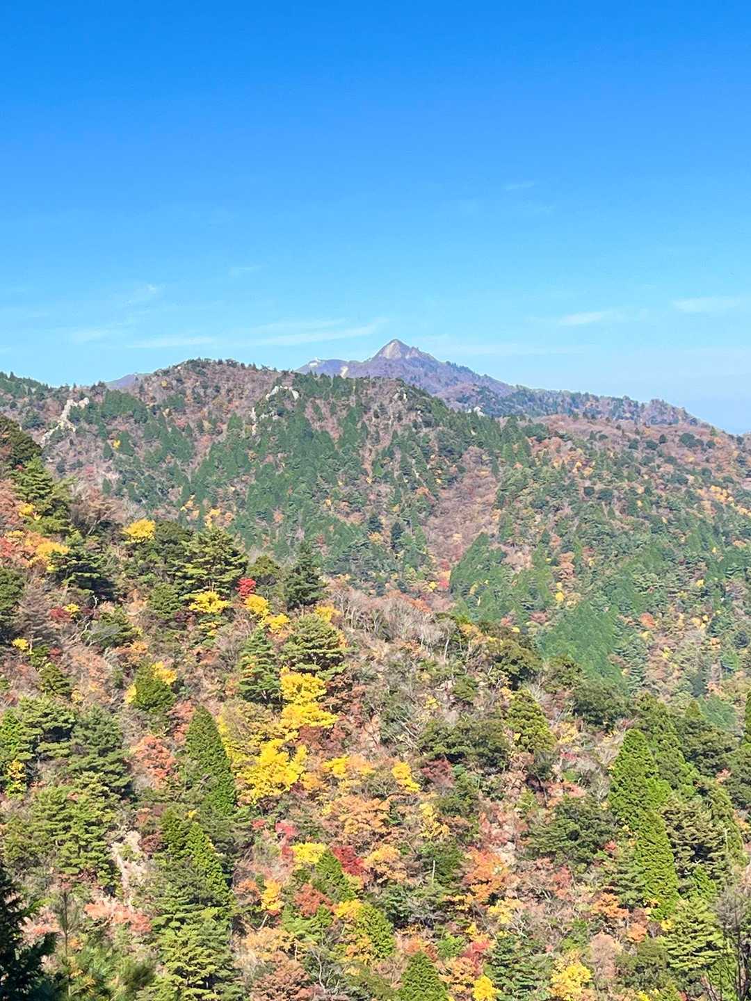 宮指路岳-小社峠-仙ヶ岳 縦走コースの写真