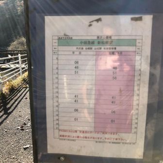 09:51発の次が14:41発のバス🚌なのです。
ここで1時間も待つのは退屈だなあ。時間つぶしのため、もう少し先のバス停まで歩いて行くことにします。