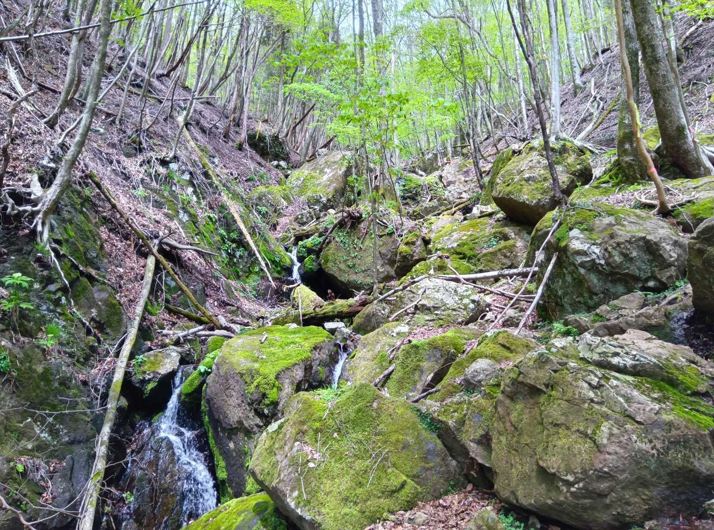 北谷登山口-風穴-祖母山 往復コースの写真