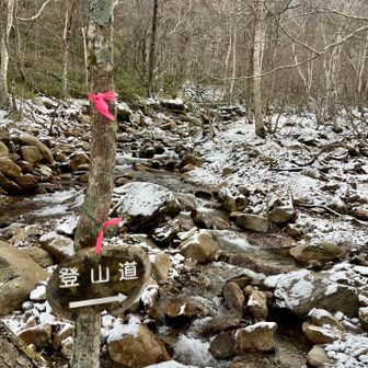 登山道入口までは案内表示あり🪧