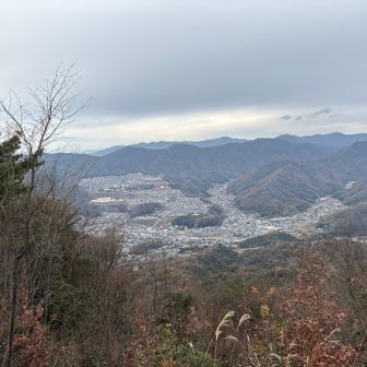 アルピナさん何しよるかな？