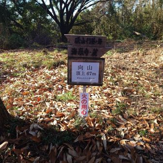 磯山からすぐに向山山頂