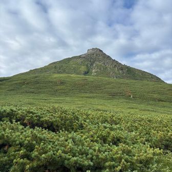 大沢を登り切ったところ
山頂に岩岩もある