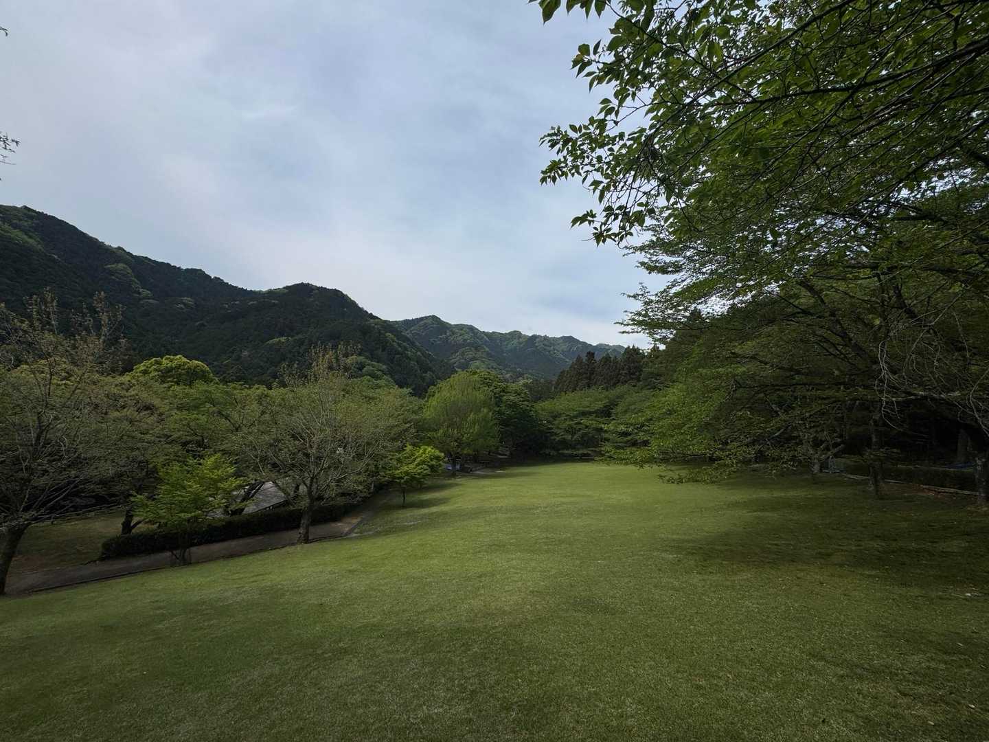 森林公園芝生広場
桜の頃来たかった